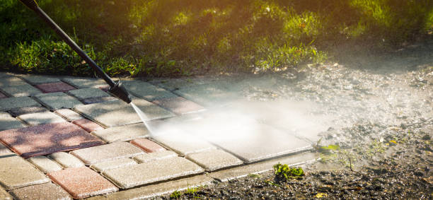Best Soft Washing for Delicate Surfaces in Bensenvle, IL
